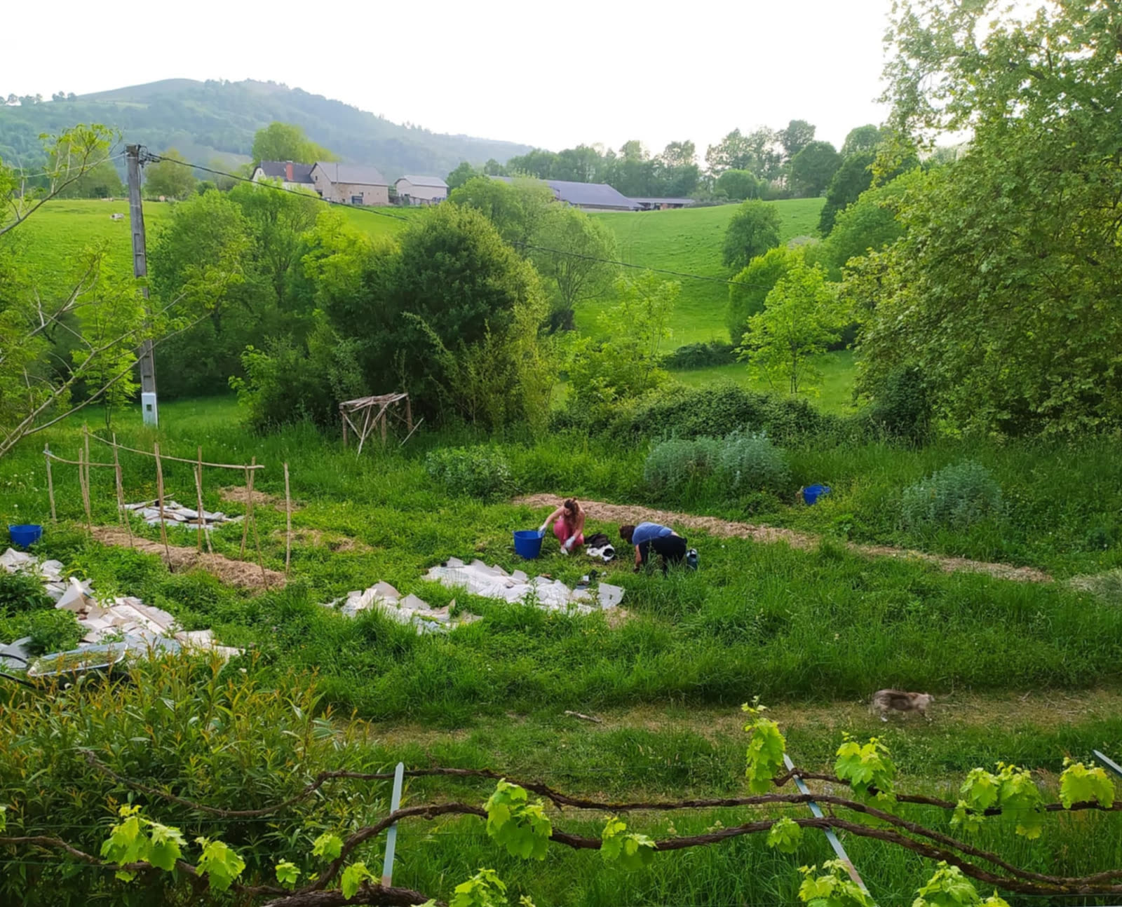 Deux personnes qui jardinent dans le potager collectif face aux collines