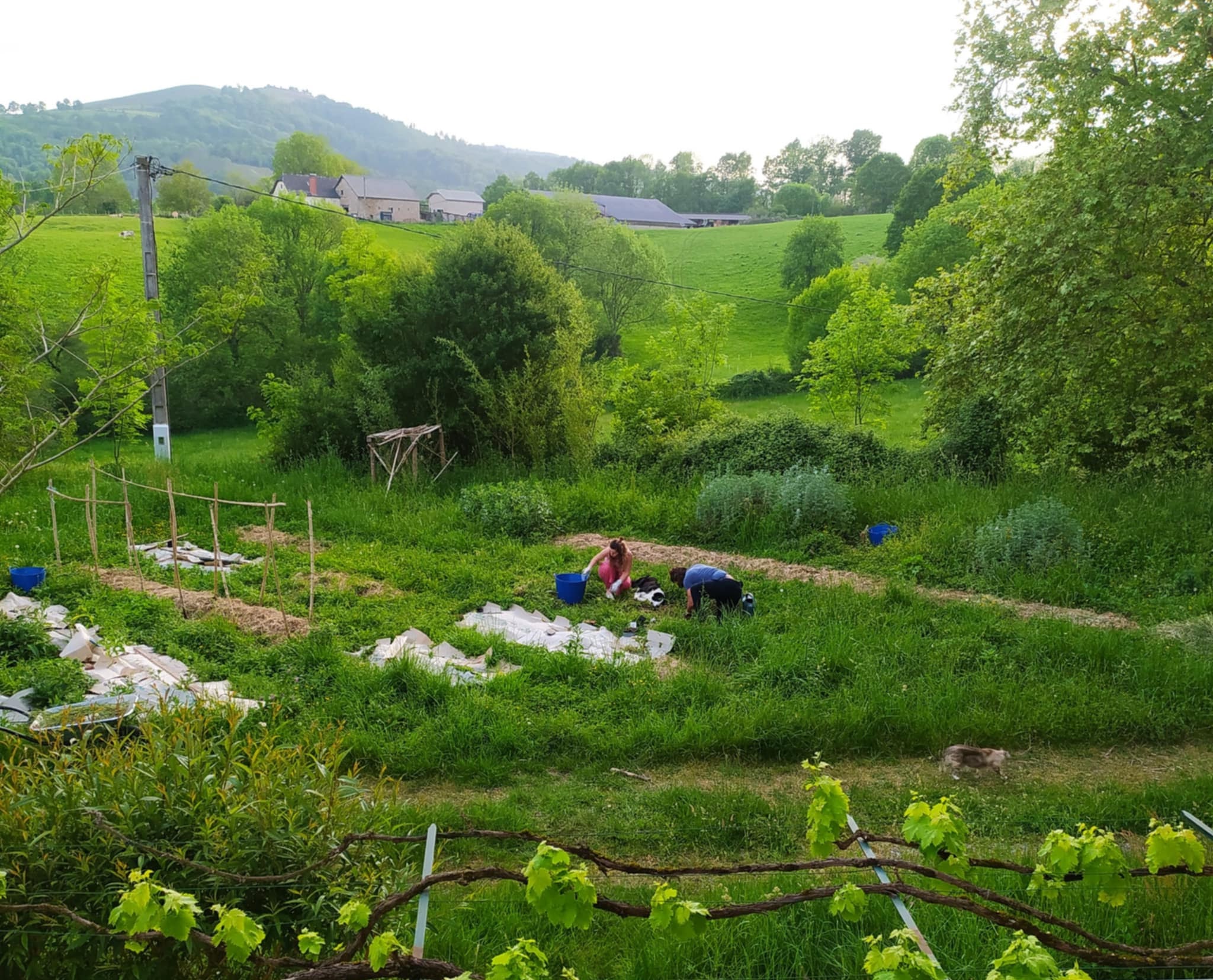 Le potager et la prairie du domaine ouverts sur les collines verdoyantes