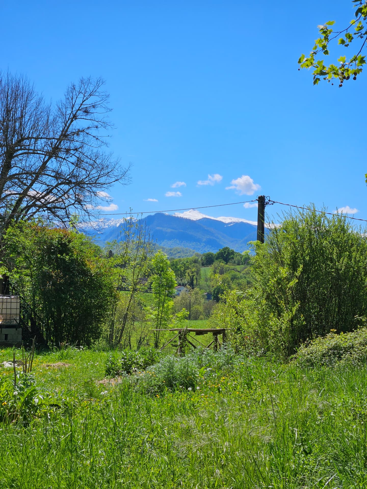 La vue sur les sommets enneigés depuis la prairie