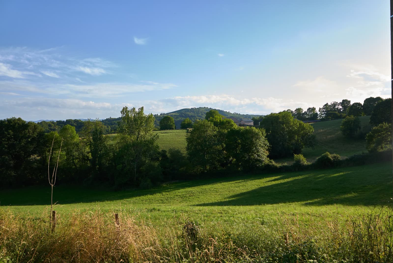 La vallée de Barétous et les collines boisées autour de Féas