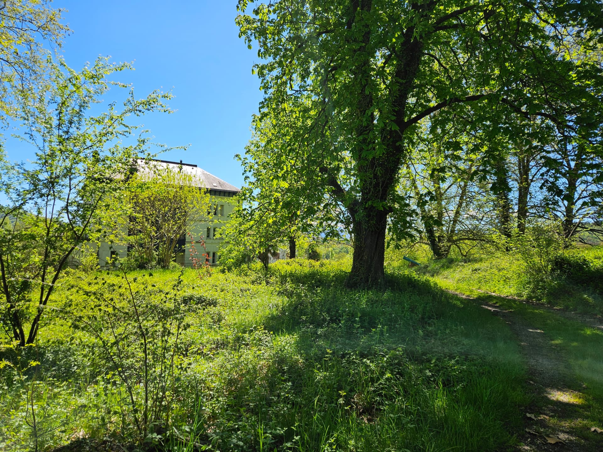 La maison vue depuis le parc arboré